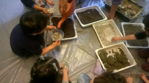 bettinalabterrasabbiasassi